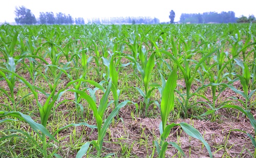 1644567921116575.jpg 344f7b26d8c5fb8733a53e2d4ef799ea_8860422_211524625109_2.jpg