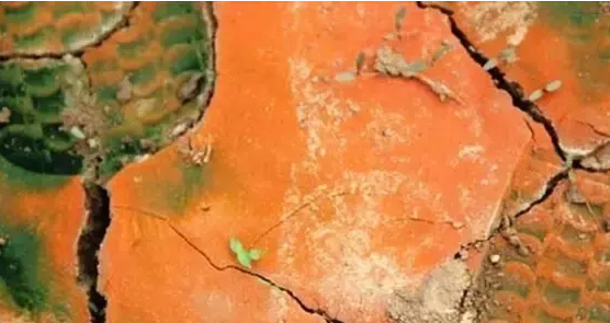 1648709011103310.png 1648709011103310.png