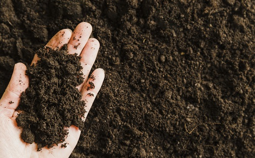 1650424960102844.png image.png