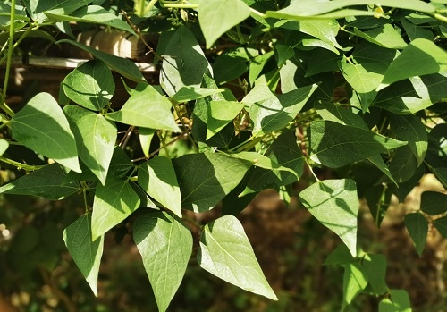 1662359095137438.png image.png