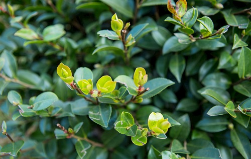 1676957562332878.png image.png