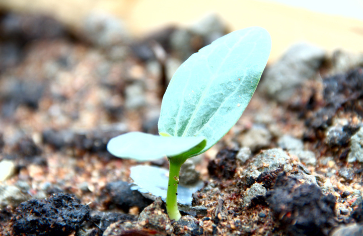 �����F���Y�������x