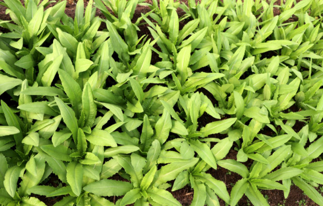 ����ˮ��(sh��)�y(c��)���x��ʹ�÷���