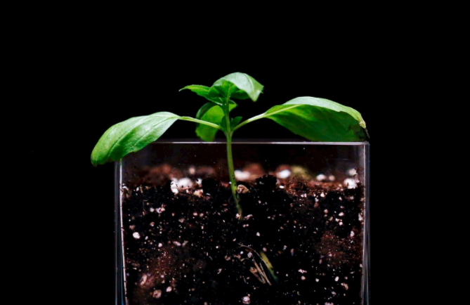 �����B���ٜy�x