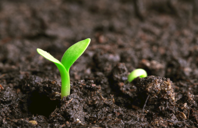 1683350098142126.png 1683350098142126.png