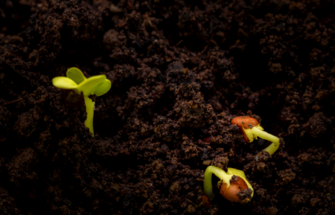 1684213886144470.png 1684213886144470.png