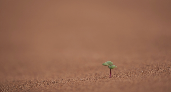 ��������O�yϵ�y